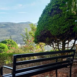 https://rheinberg-town-haus.hotels-munnar.com